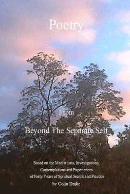 Colin Drake - Poetry from Beyond the Separate Self, Häftad