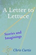 A Letter to Lettuce: Stories and Imaginings
