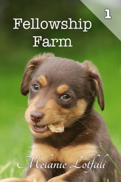 Melanie Lotfali - Fellowship Farm 1, E-bok