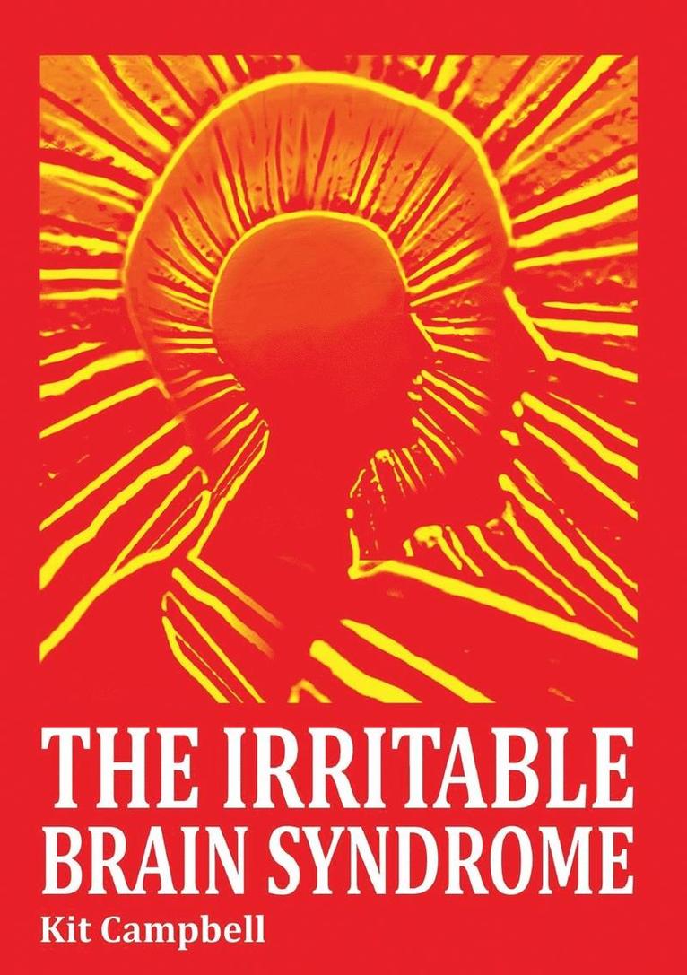 Kit Campbell - Irritable Brain Syndrome, Häftad