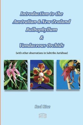 Rod Rice - Introduction to the Australian & New Zealand Bulbophyllum & Vandaceous Orchids (with other observations in subtribe Aeridinae)., Häftad