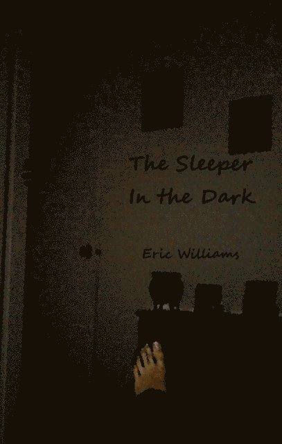 Eric Williams - Sleeper in the Dark, E-bok