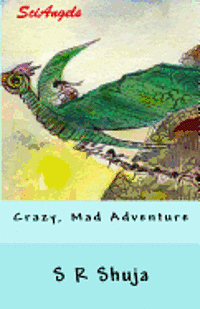 SciAngels: Crazy, Mad Adventure