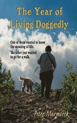 Year of Living Doggedly