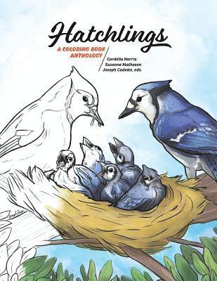 Cordelia Norris, Suzanne Matheson, Joseph Cadotte - Hatchlings, Häftad