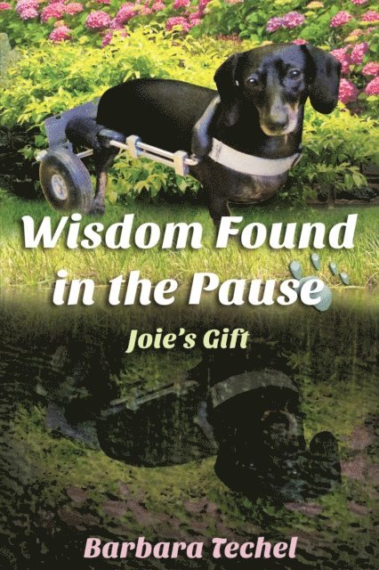 Barbara Techel - Wisdom Found In The Pause: Joie's Gift, E-bok