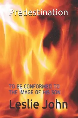 Leslie M. John - Predestination: To Be Conformed to the Image of His Son, Häftad. Tillgänglighet: Lägg i varukorg
