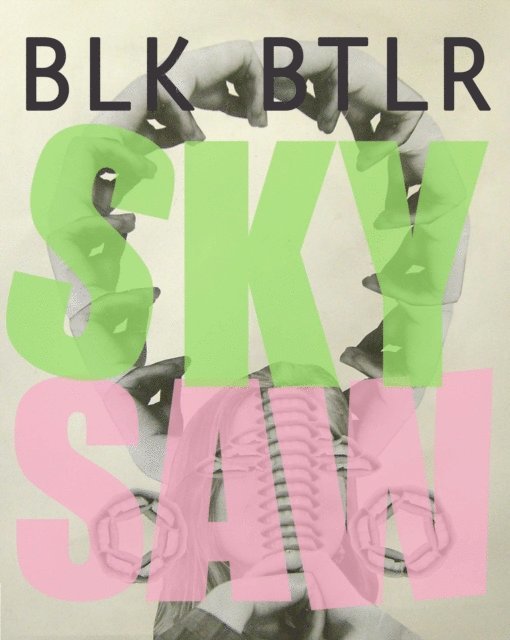 Blake Butler - Sky Saw, E-bok