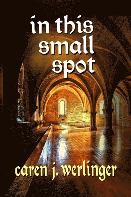 Caren J. Werlinger - In This Small Spot, E-bok