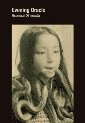 Brandon Shimoda - Evening Oracle, Häftad. Tillgänglighet: Tillfälligt slut