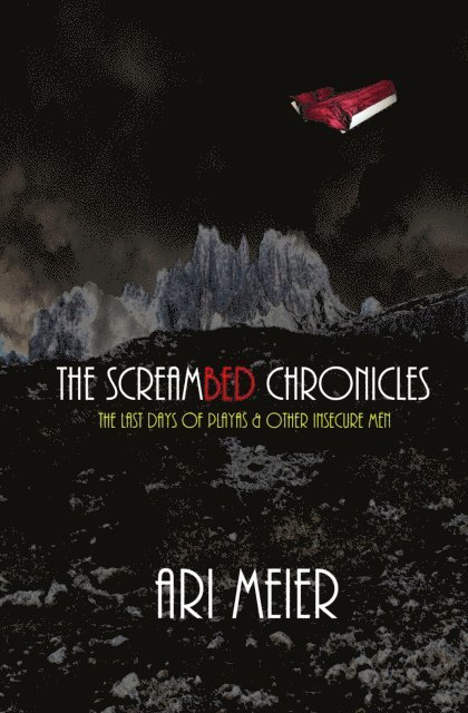Ari Meier - ScreamBed Chronicles: The Last Days of Playas & Other Insecure Men, E-bok