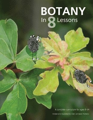 Ellen Johnston McHenry - Botany in 8 Lessons, Häftad