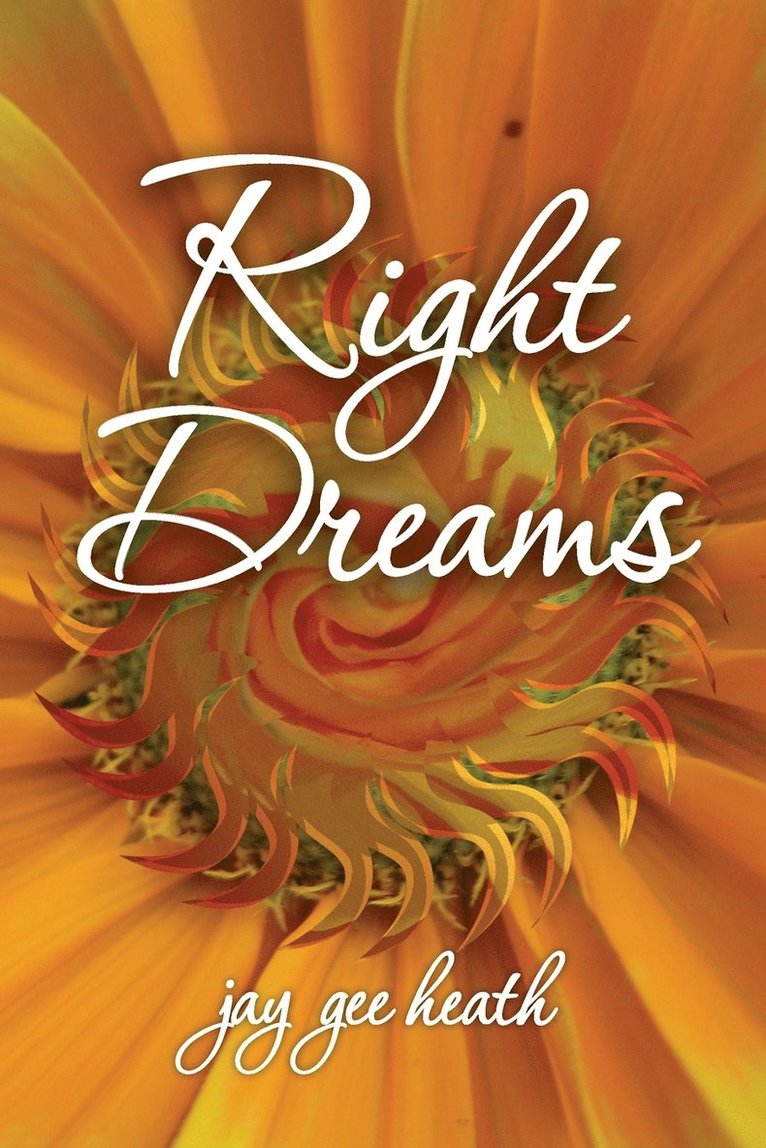 Jay Gee Heath - Right Dreams, Häftad. Tillgänglighet: Lägg i varukorg