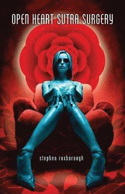 Stephen Roxborough - Open Heart Sutra Surgery, Häftad