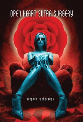 Stephen Roxborough - Open Heart Sutra Surgery, Inbunden