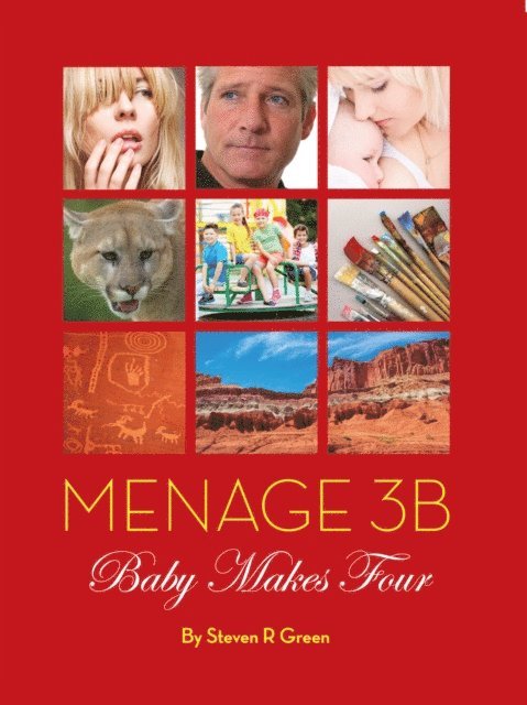Steven Green - Menage 3B: Baby Makes Four, E-bok