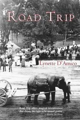 Lynette D'Amico - Road Trip, Häftad. Tillgänglighet: Lägg i varukorg