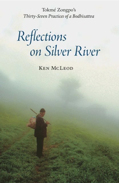 Ken McLeod - Reflections on Silver River, E-bok