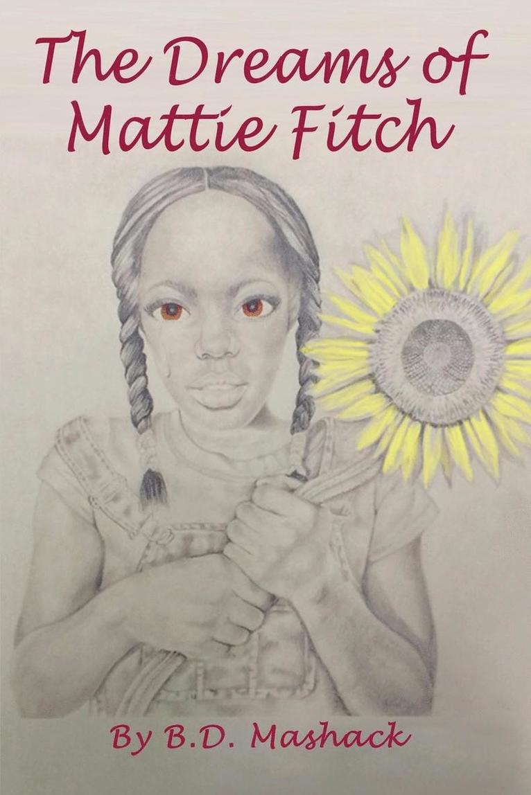 B D Mashack - Dreams of Mattie Fitch, Häftad