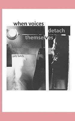 Gary Lundy - When Voices Detach Themselves, Häftad