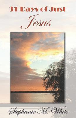Stephanie Marie White - 31 Days of Just Jesus, Häftad