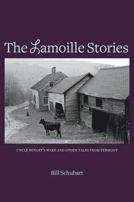 Bill Schubart - Lamoille Stories, Häftad