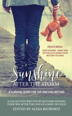 Alexa H Bigwarfe - Sunshine After the Storm, Häftad