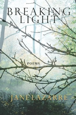 Jane Lazarre - Breaking Light, Häftad