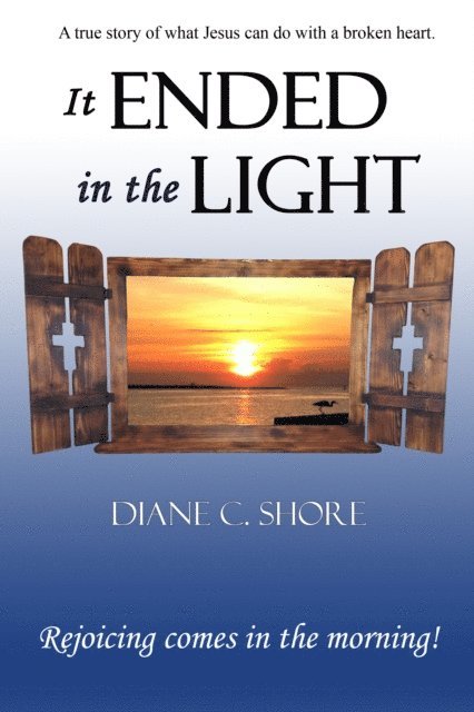 Diane C. Shore - It Ended in the Light, E-bok
