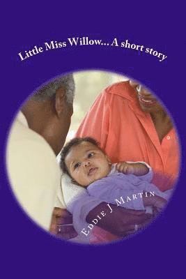 Eddie J. Martin - Little Miss Willow... a Short Story: Everyone Has an Origin, Even the Worst of Us, Even Willow, Häftad