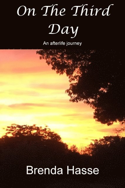 Brenda Hasse - On The Third Day, E-bok