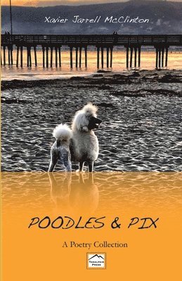 Poodles & Pix