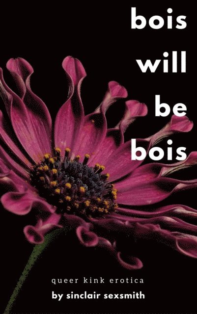 Sinclair Sexsmith - Bois Will Be Bois: Queer Kink Erotica, E-bok