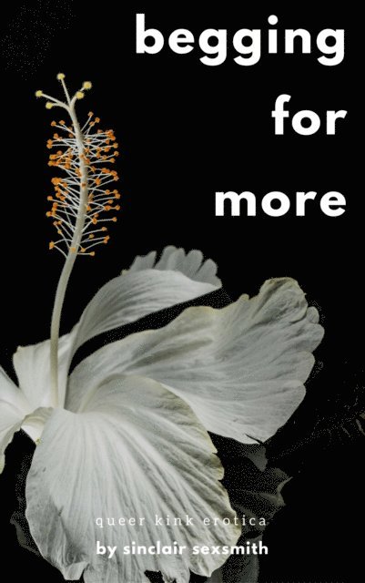 Sinclair Sexsmith - Begging For More: Queer Kink Erotica, E-bok