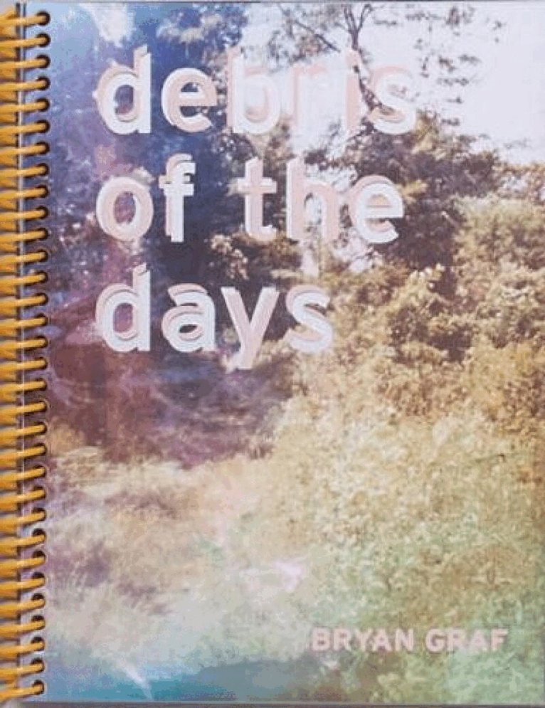 Bryan Graf - Debris of the Days, Häftad