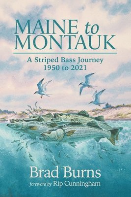 Maine to Montauk