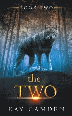 Kay Camden - The Two, Häftad
