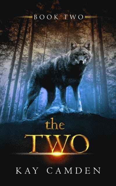 Kay Camden - Two, E-bok