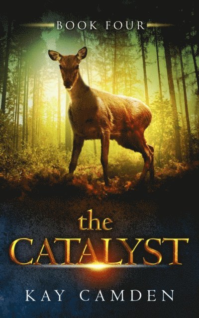 Kay Camden - Catalyst, E-bok