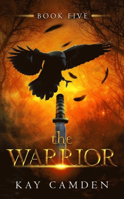 Kay Camden - Warrior, E-bok