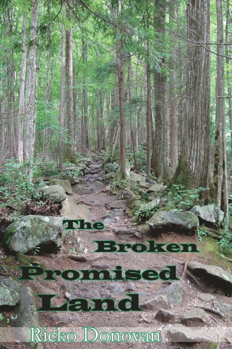 Ricko Donovan - Broken Promised Land, Häftad. Tillgänglighet: Lägg i varukorg