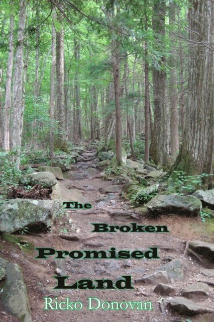 Ricko Donovan - Broken Promised Land, E-bok. Tillgänglighet: Lägg i varukorg