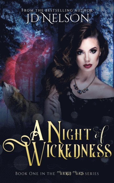 JD Nelson - Night of Wickedness (Wicked Ways - Book One), E-bok