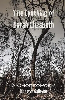 Ginger M. Galloway - The Lynching of Sarah Elizabeth, Häftad. Tillgänglighet: Lägg i varukorg