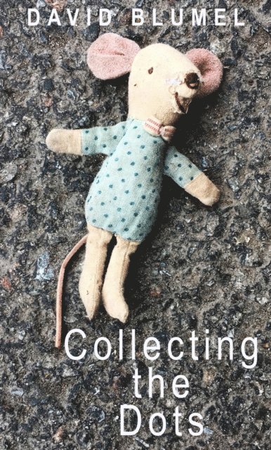 David Blumel - Collecting the Dots, E-bok