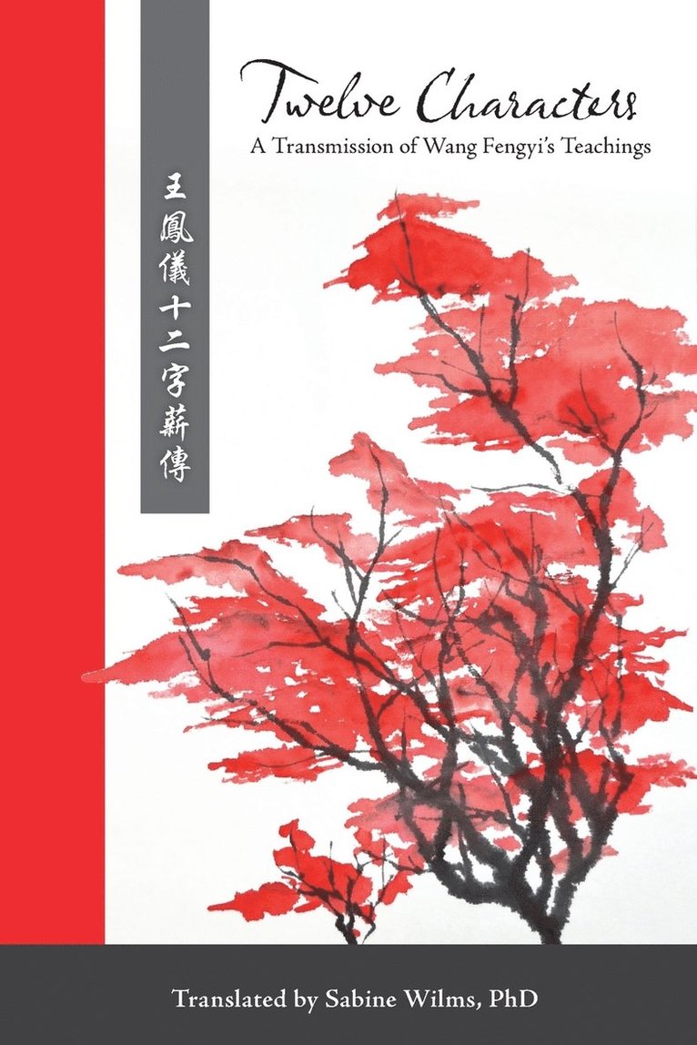 Twelve Characters: A Transmission of Wang Fengyi's Teachings, Häftad