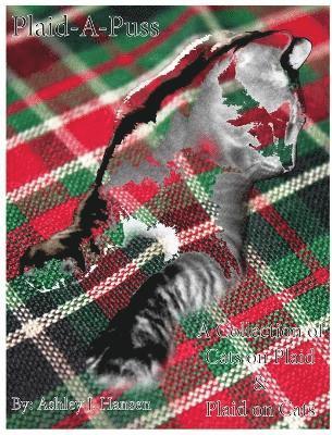 Plaid-A-Puss