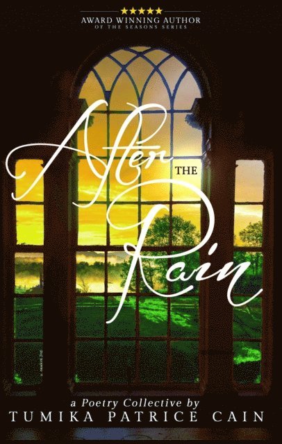 Tumika Patrice Cain - After the Rain...A Poetry Collective, E-bok
