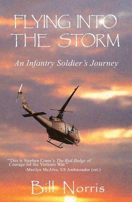 Bill Norris - Flying Into The Storm, Häftad. Tillgänglighet: Lägg i varukorg