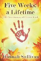 Hannah Sullivan - Five Weeks: a Lifetime: The True Journey of Clinton Jacob, Häftad. Tillgänglighet: Lägg i varukorg